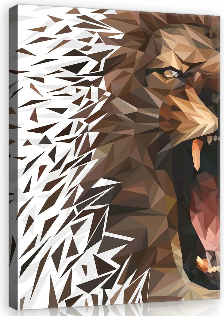 Vászonkép 60x80 Oroszlán agresszió düh poligonális bomlás dinamika erő természet