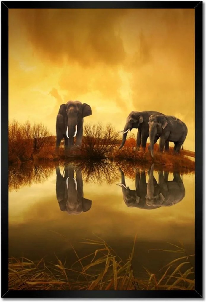 Poszterek keretben 40x60 Elefántok a vízparton