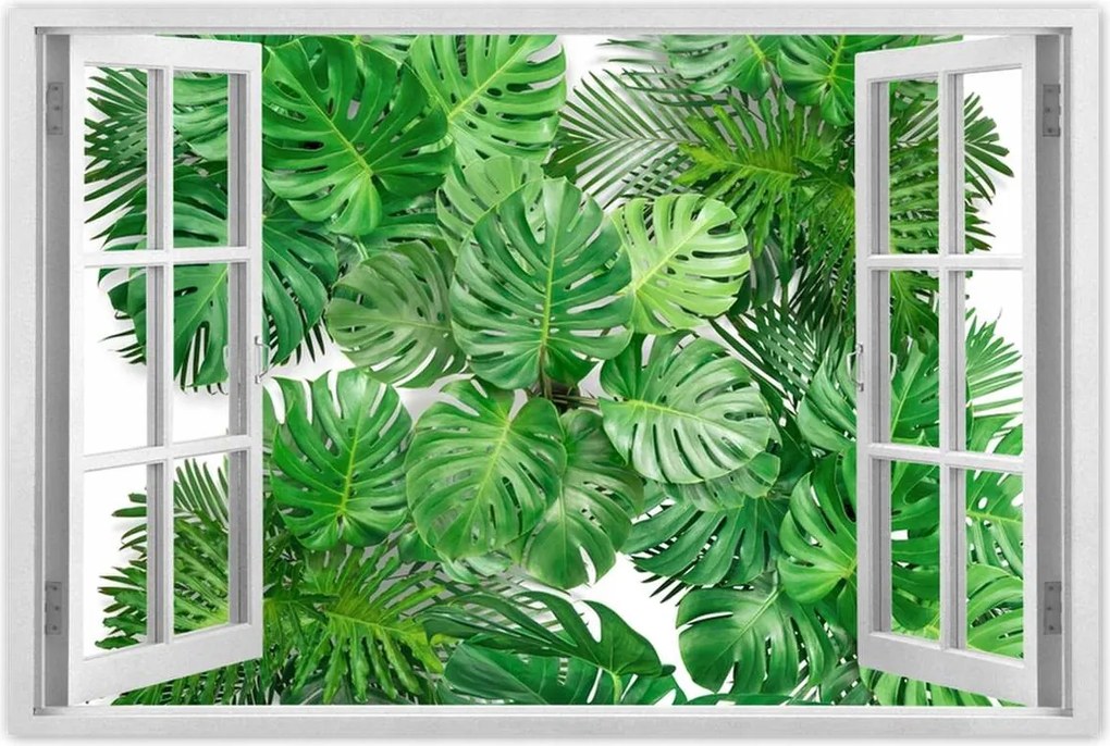 Poszter 60x40 Monstera Lyukas levelek