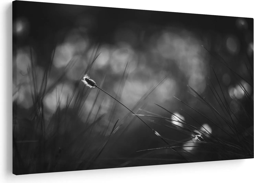 Kép - Mezei fű (90x60 cm)