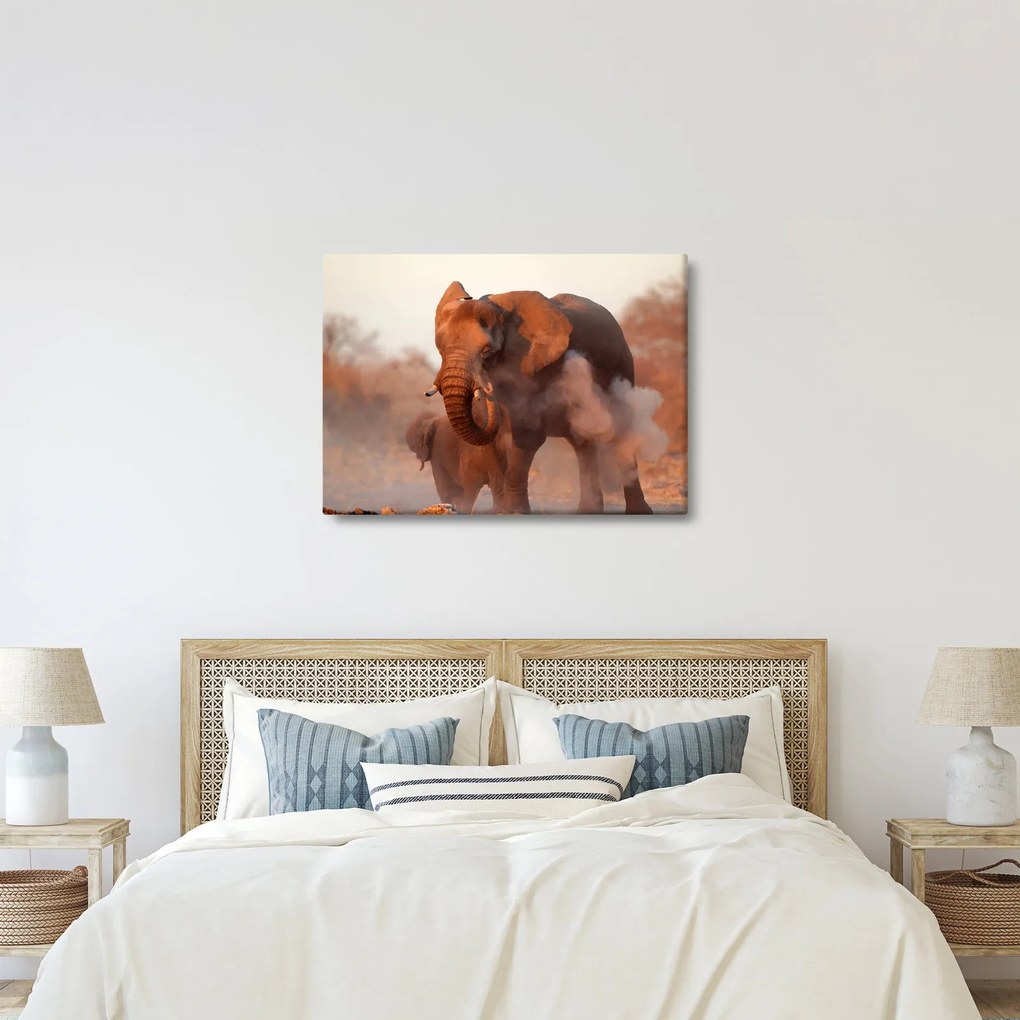 Kép - Nagy afrikai elefánt (70x50 cm)