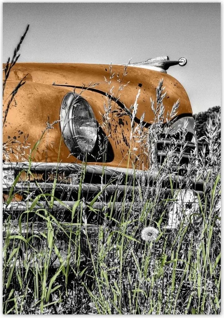 Poszterek 70x100 Tea veterán