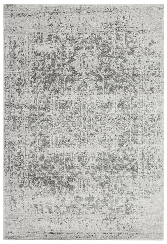 Szürke szőnyeg 200x290 cm Nova – Asiatic Carpets