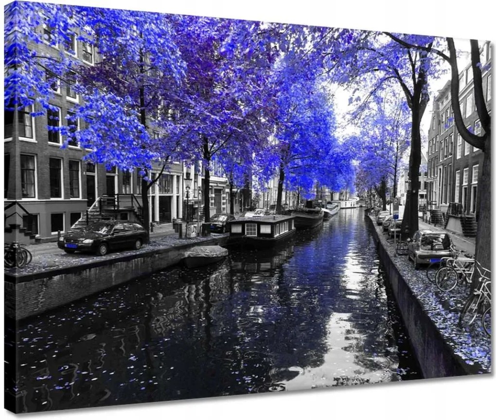 Vászonkép 40x30 Búzavirág Amszterdam