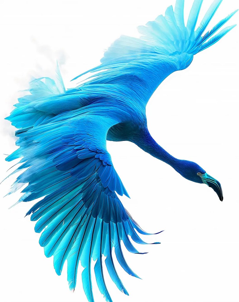 Poszter 40x50cm Kék repülés