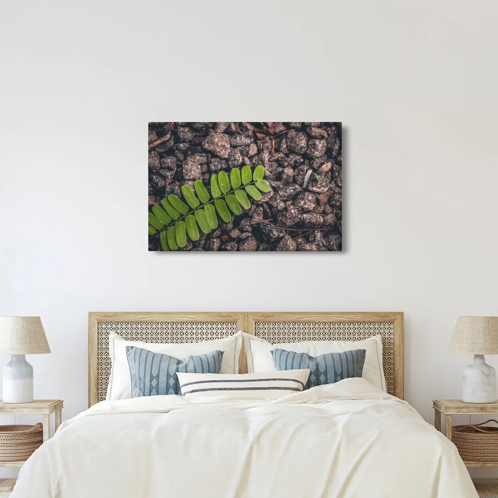Zöld növények képe (90x60 cm)