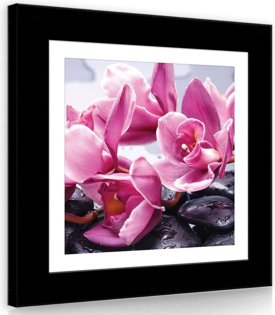 Vászonkép 40x40 Orchidea rózsaszín kövek cseppek víz spa relaxáció virágok természet
