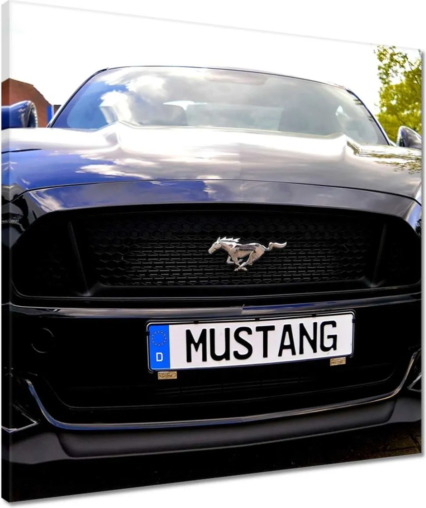 Vászonkép 50x50 Ford Mustang
