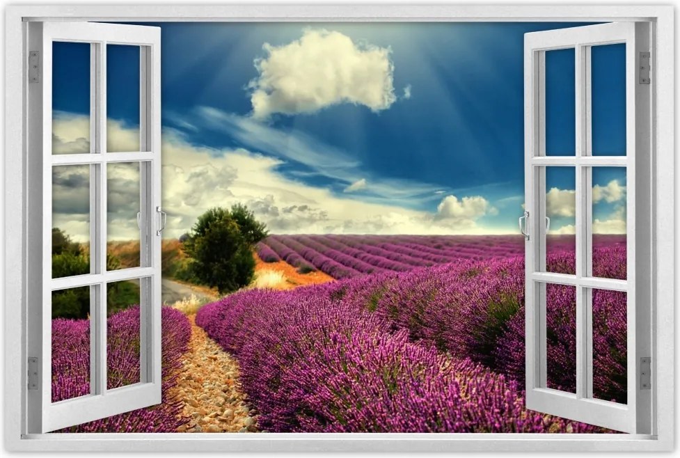 Poszterek 90x60 Levendulamező