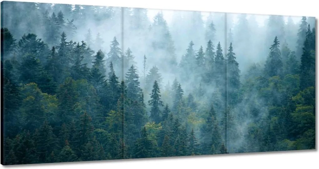 Vászonkép 120x60 Erdő a ködben Utazás