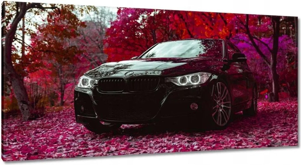 Vászonkép 115x55 Fekete Bmw Ősz