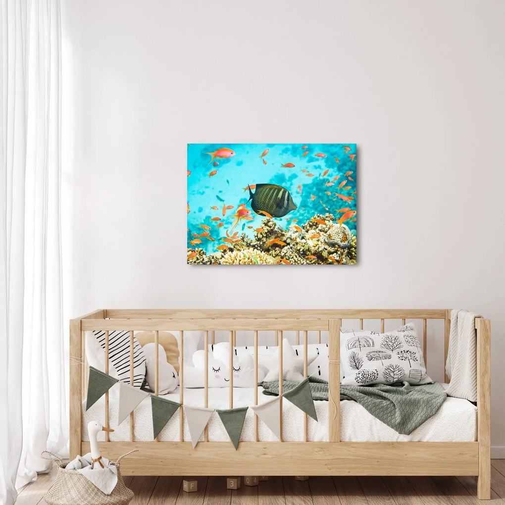A víz alatti világ képe (70x50 cm)