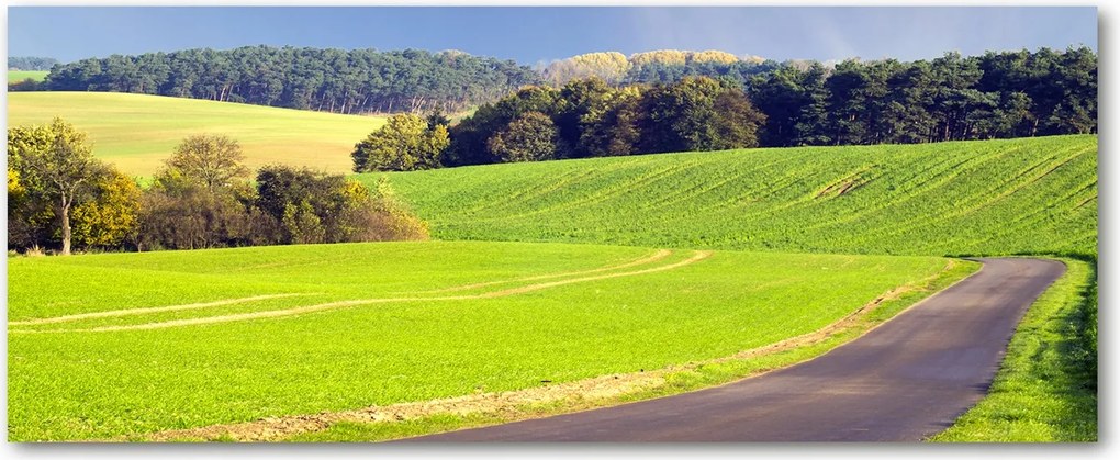 Modern üvegpanel a konyhába Mezei út XXL