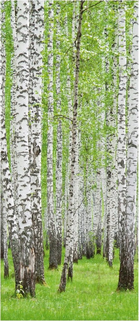 Fotótapéta öntapadós furnér ajtó matrica