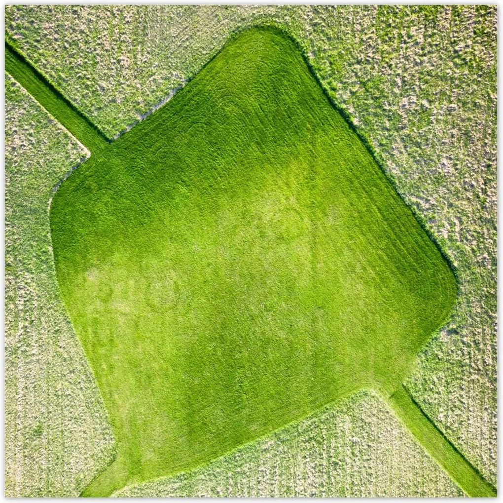 Poszterek 70x70 Fű mező rét út