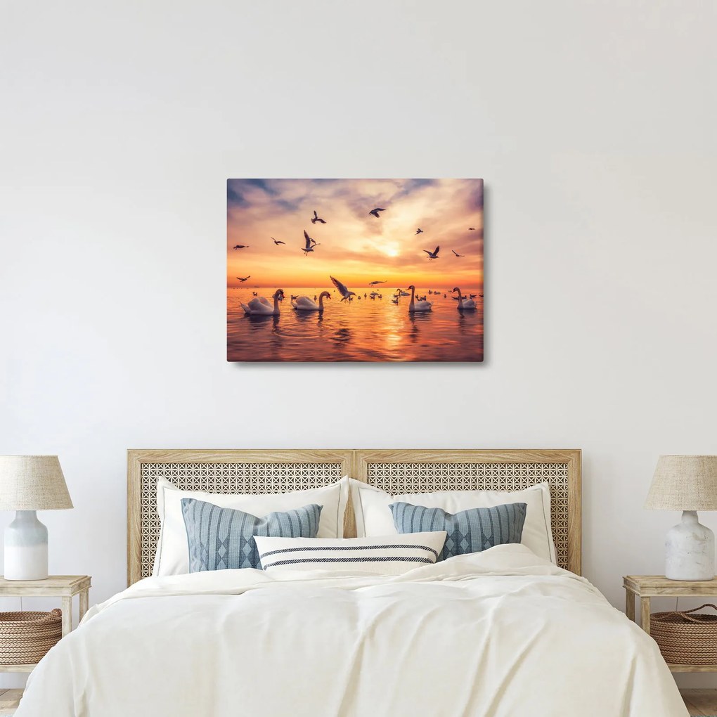 Kép - Hattyúk (70x50 cm)