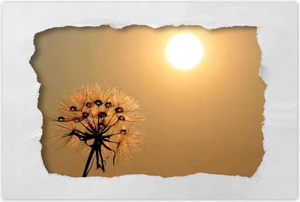 Poszterek 120x80 Pitypang Virág Virágok