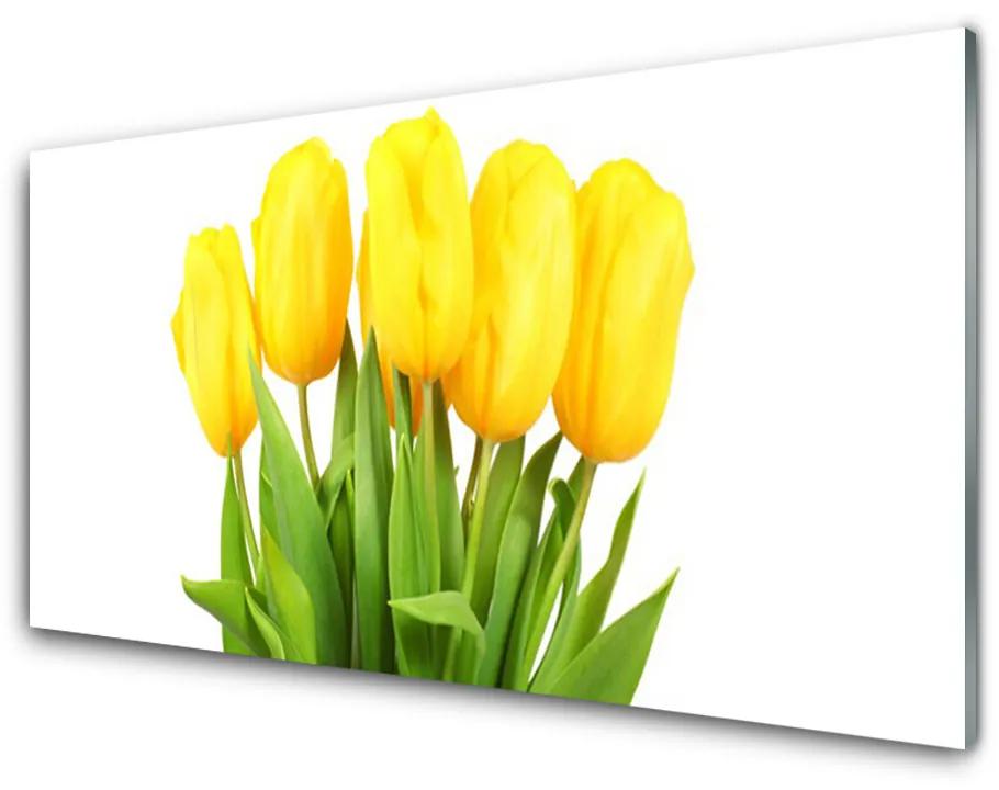 Akril üveg kép Tulipán virágok Plant 140x70 cm