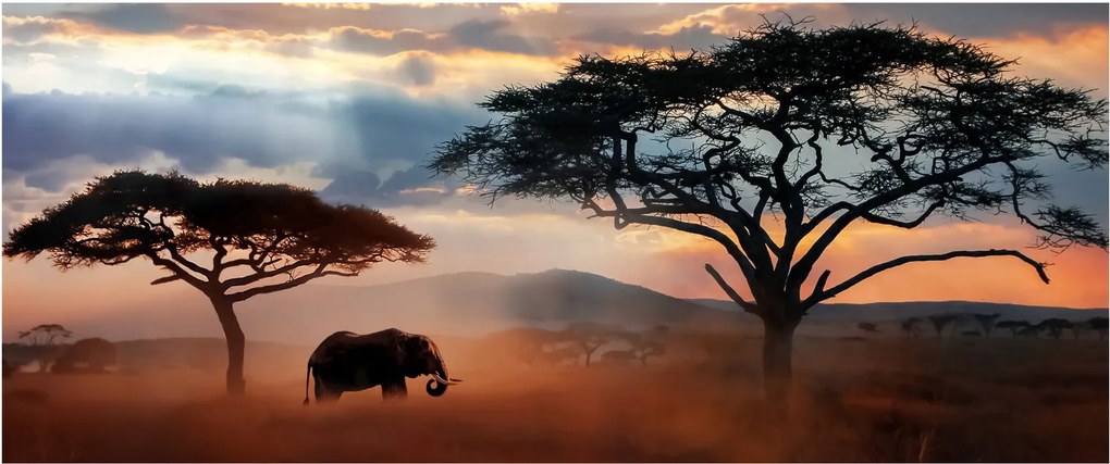 Kép - Serengeti Nemzeti Park, Tanzánia, Afrika (120x50 cm)
