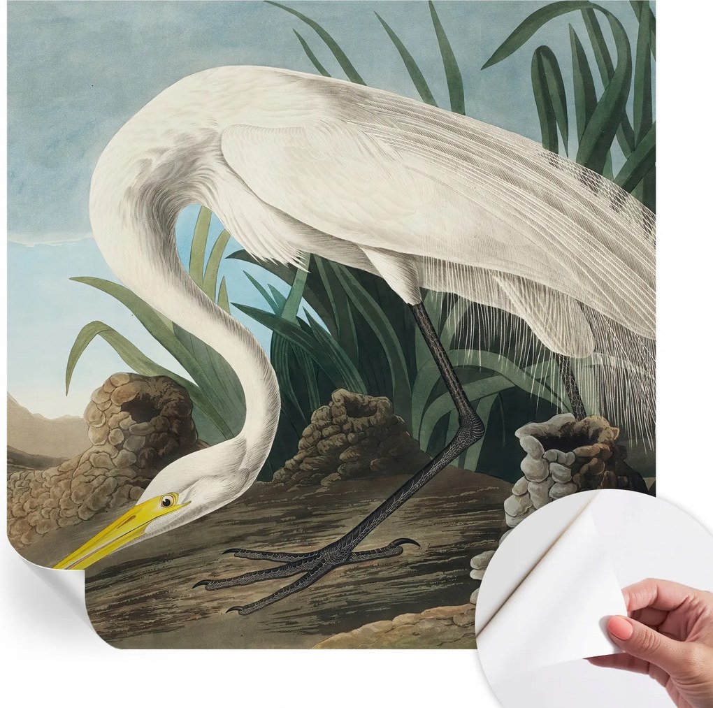 Divatos öntapadós fali tapéta Furnér Fenséges kócsag 250x250 cm