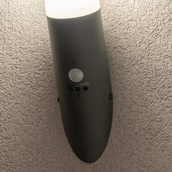 BRILAGI - Kültéri fali lámpa érzékelővel ELIA 1xE27/20W/230V IP44 antracit