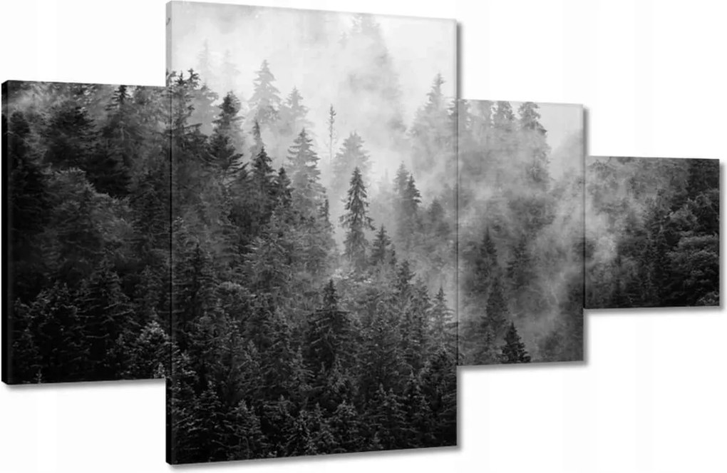 Vászonkép 130x80 Tájkép Szürke Hegyek Köd