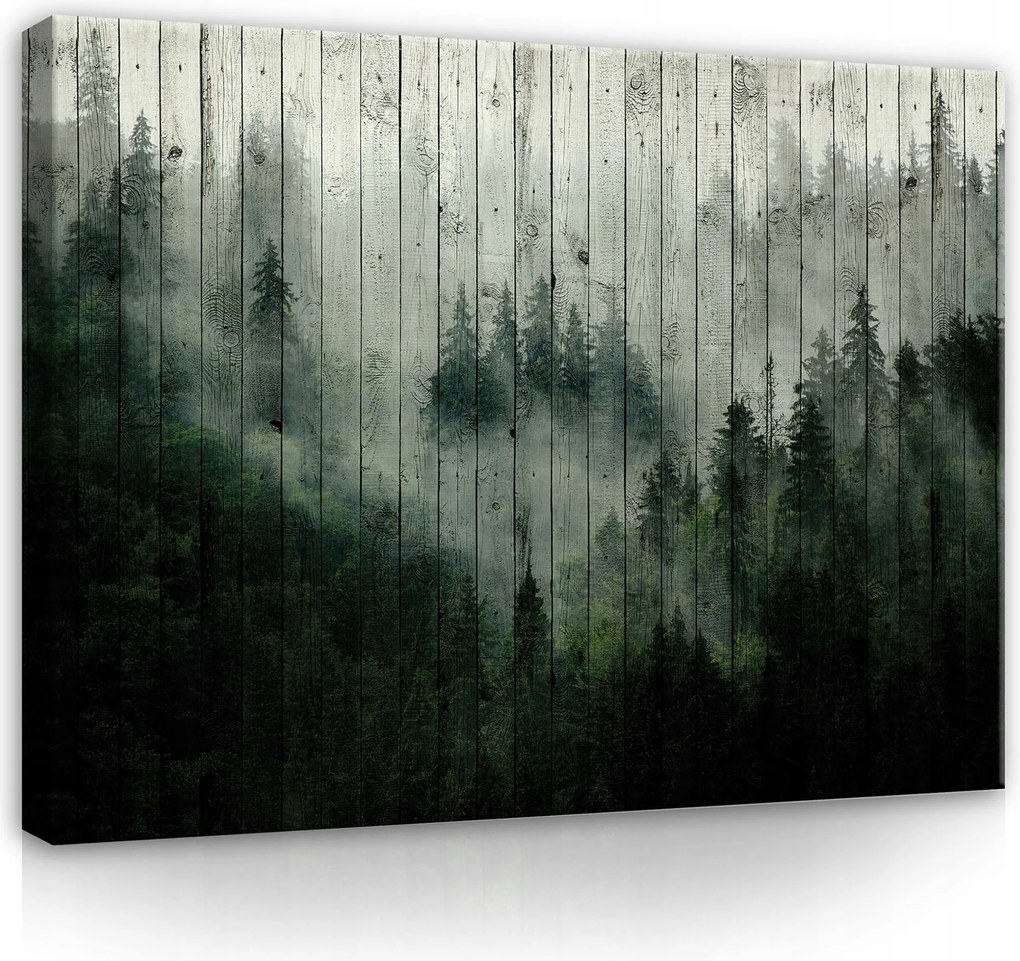 Vászonkép 80x60 Ködös erdő misztikum természet nyugalom mélység fa textúra