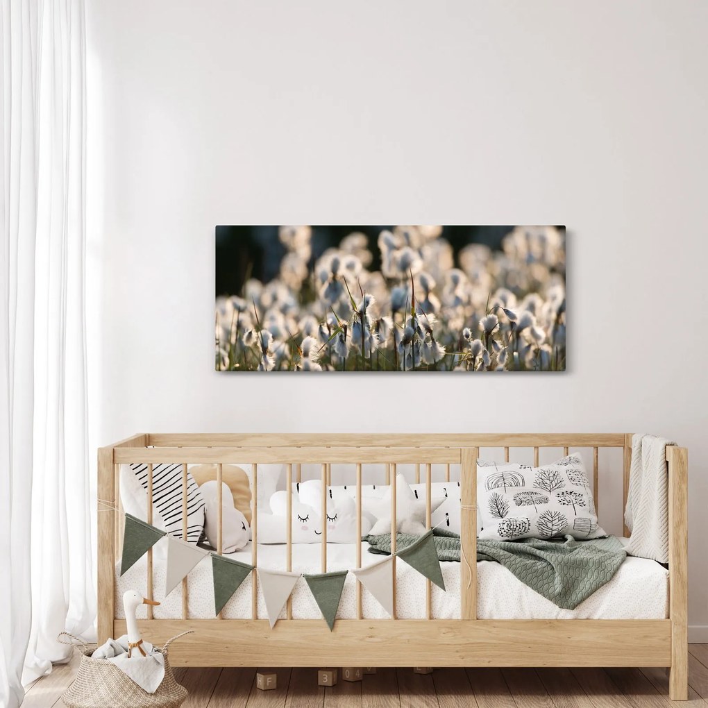 Kép - Keskenylevelű gyapjúsás (120x50 cm)