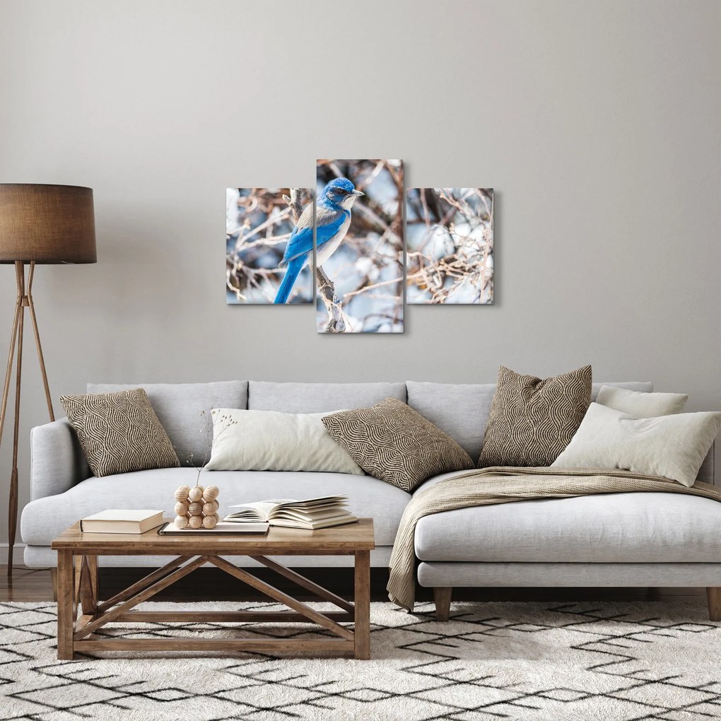 Kép - Téli madár (90x60 cm)