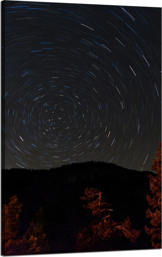 Vászonkép Természet Erdő Éjszaka Hegyek Absztrakt Fák 50x80