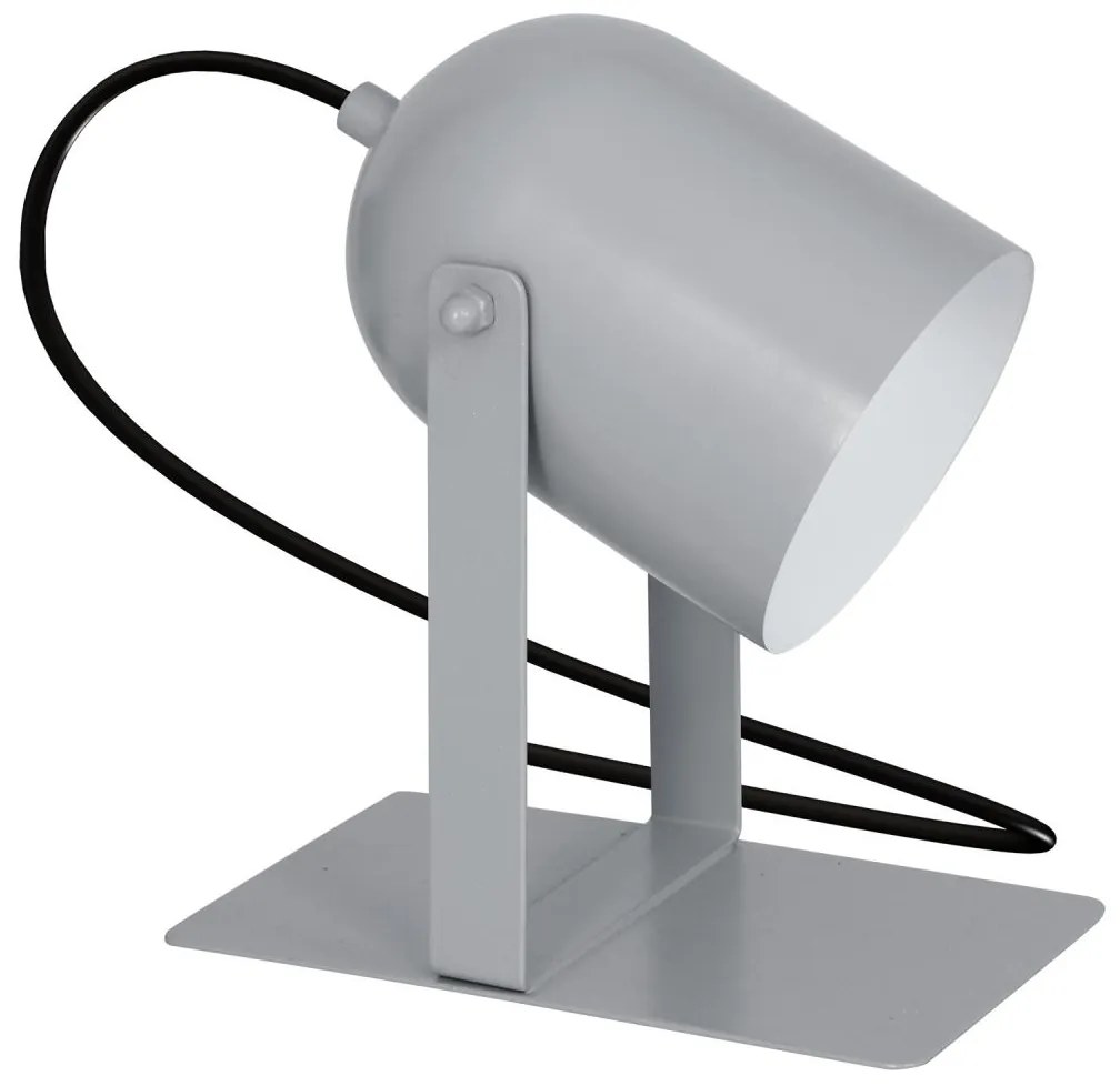 Asztali lámpa TABLE LAMPS 1xE27/60W/230V