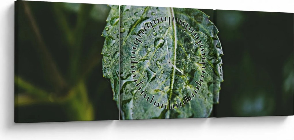 Kép - cseppek a levelen (órával) (90x30 cm)