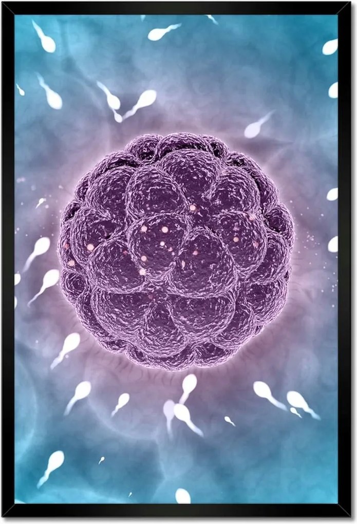 Poszterek keretben 40x60 Ne maradj le