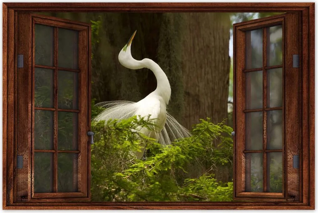 Poszterek 90x60 Kalapos madár Tájkép Kilátás