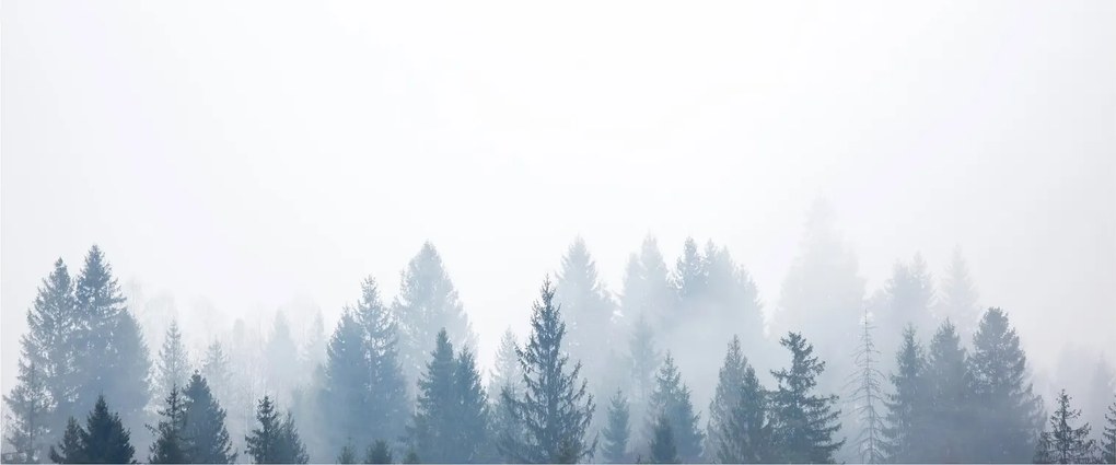 Kép - Ködös erdő (120x50 cm)