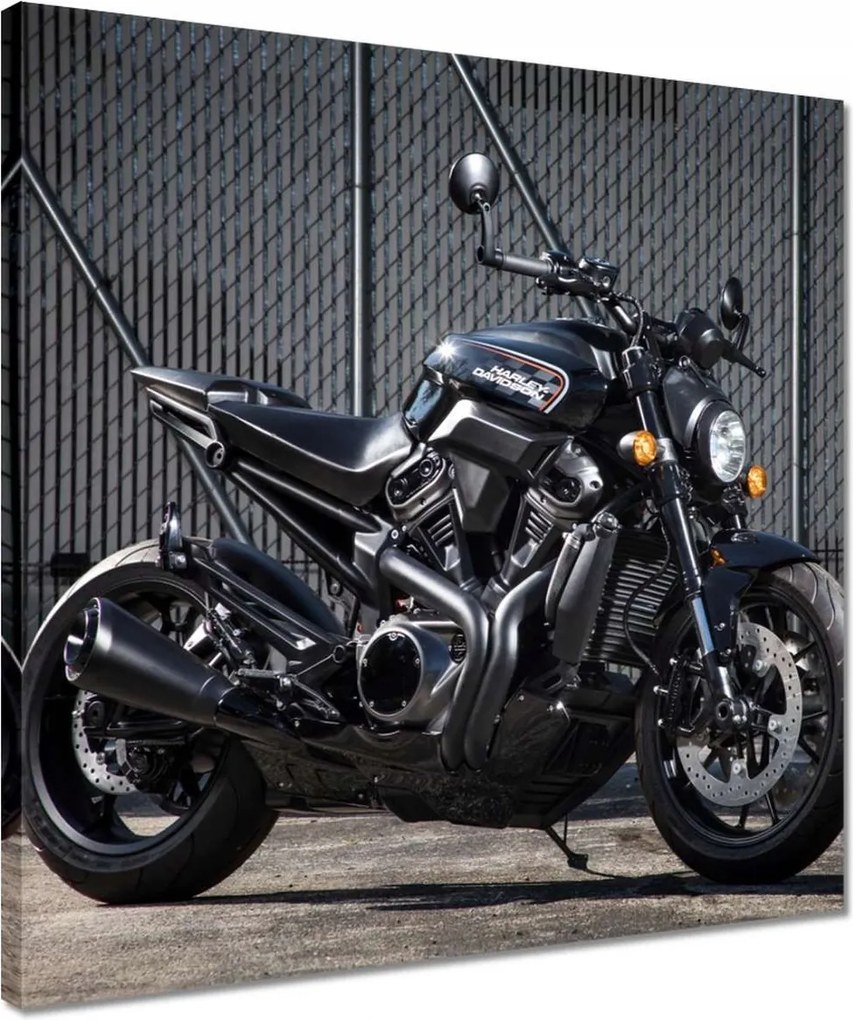 Vászonkép 40x40 Harley Davidson Motorkerékpár