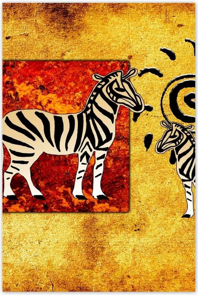 Poszterek 80x120 Zebrák gyűjtése