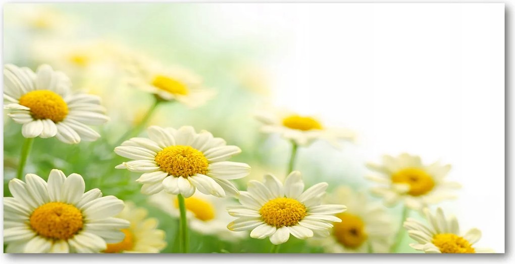 Panel a konyhabútor között Margaréta 100x50 +ragasztó