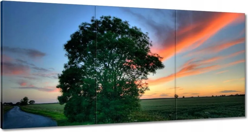 Vászonkép 120x60 Lángoló égbolt