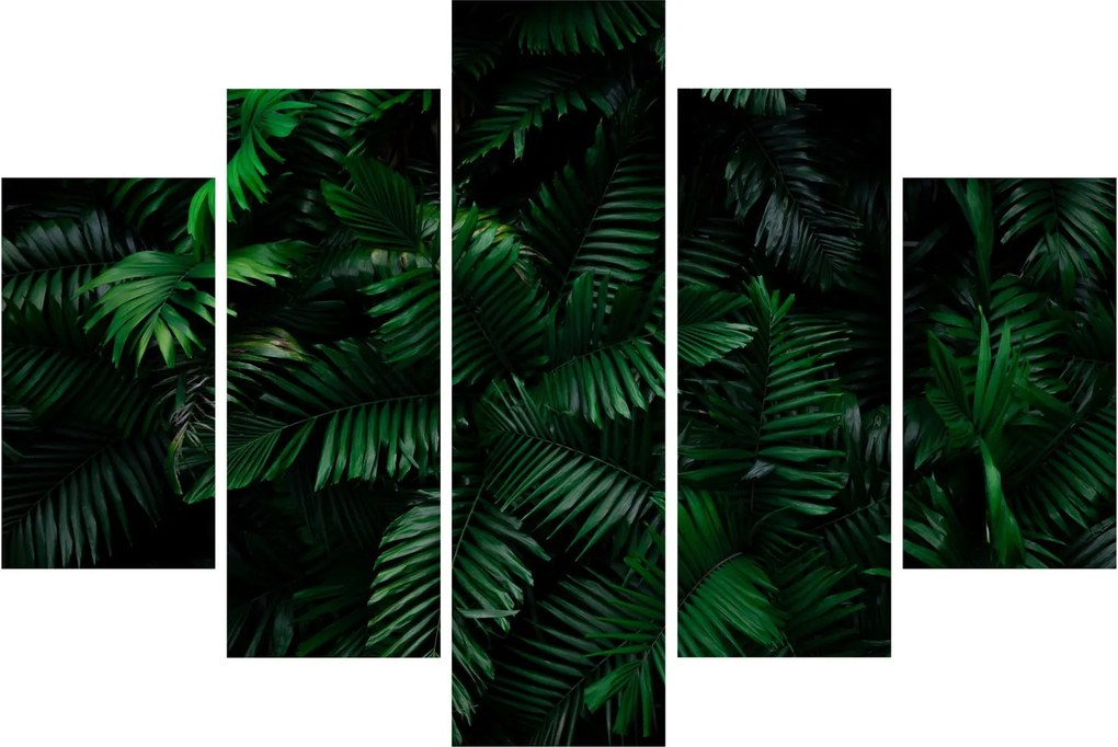 Kép - trópusi páfrány (150x105 cm)