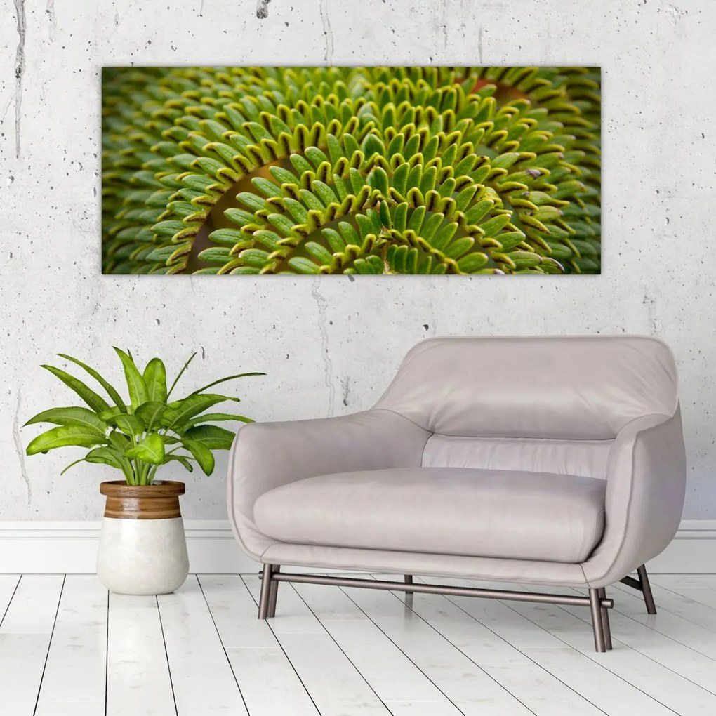 Kép - Fern (120x50 cm)