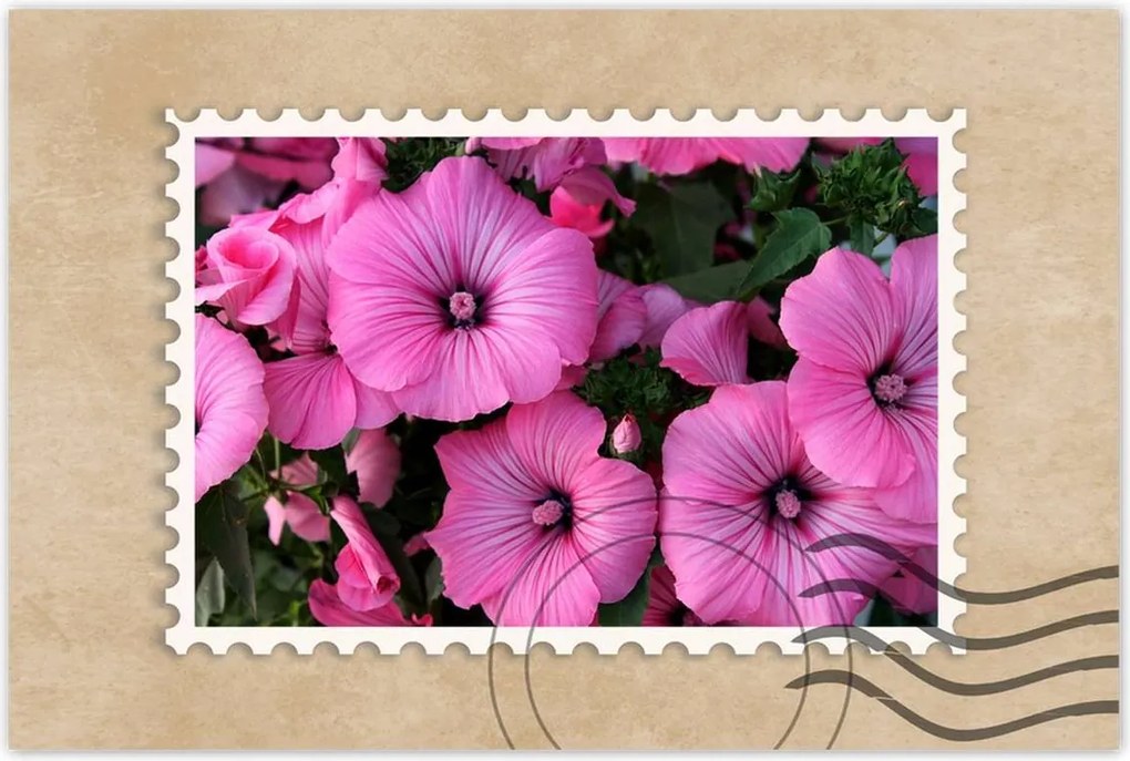 Poszter 60x40 Lila virágok