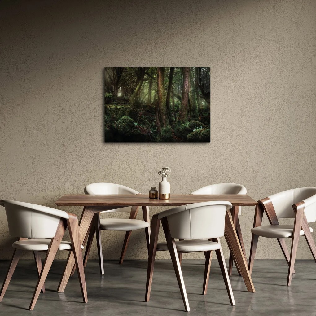 Kép - Titokzatos erdő (70x50 cm)