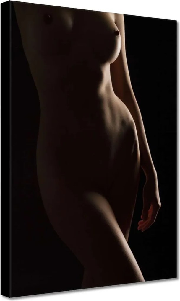 Vászonkép 20x30 Természetes szépség Érzéki éjszakai tekintet