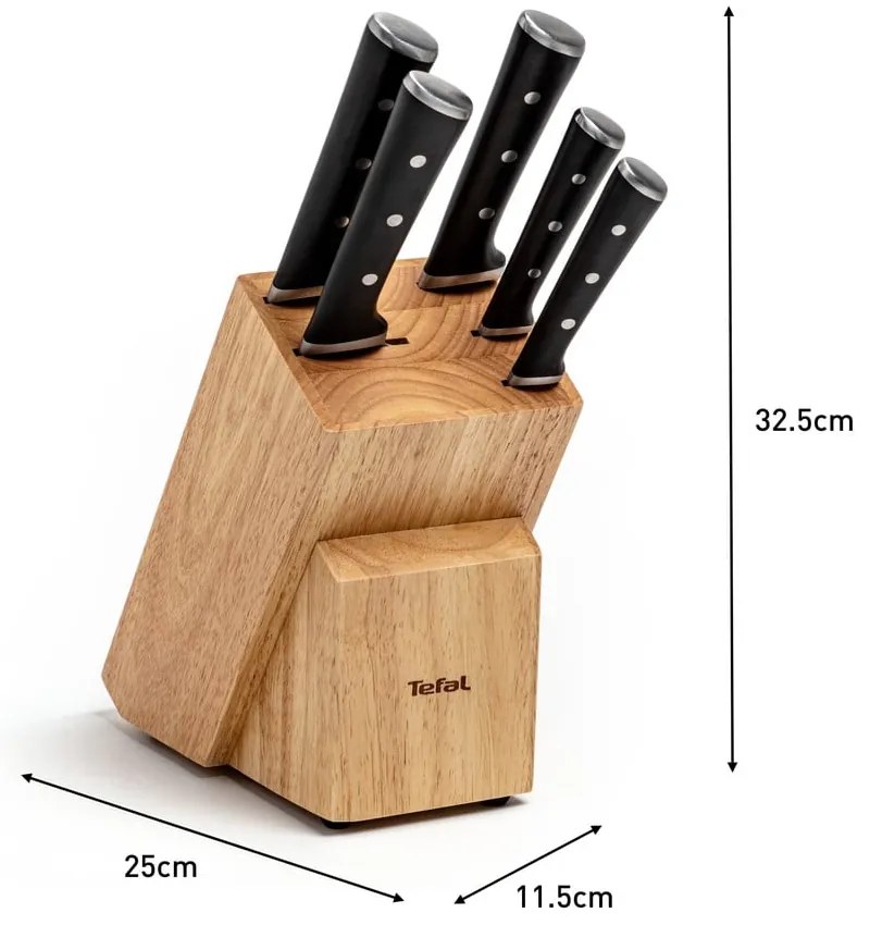 Késtartó 5 késsel Ice Force - Tefal