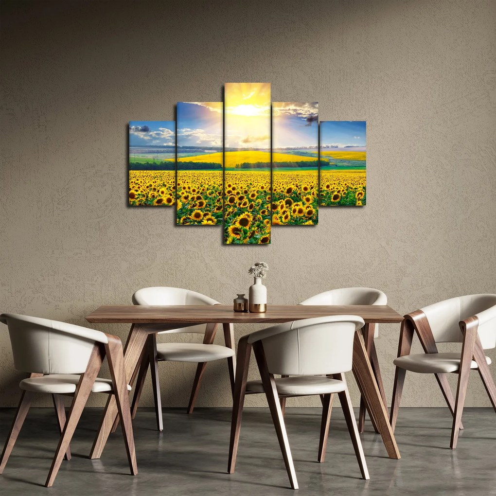 Kép - Napraforgó mező (150x105 cm)