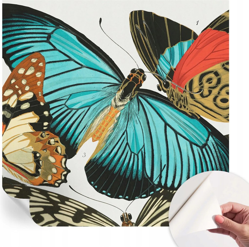 Öntapadós Dekoratív Fotótapéta Hálószobába Színes pillangók 250x250 cm