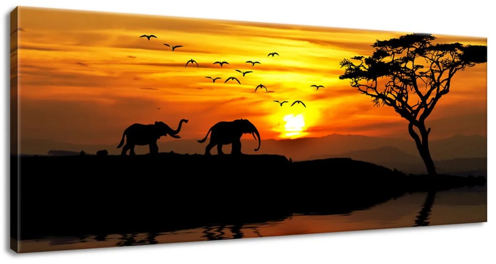 Gario Vászonkép Afrika Méret: 100 x 40 cm