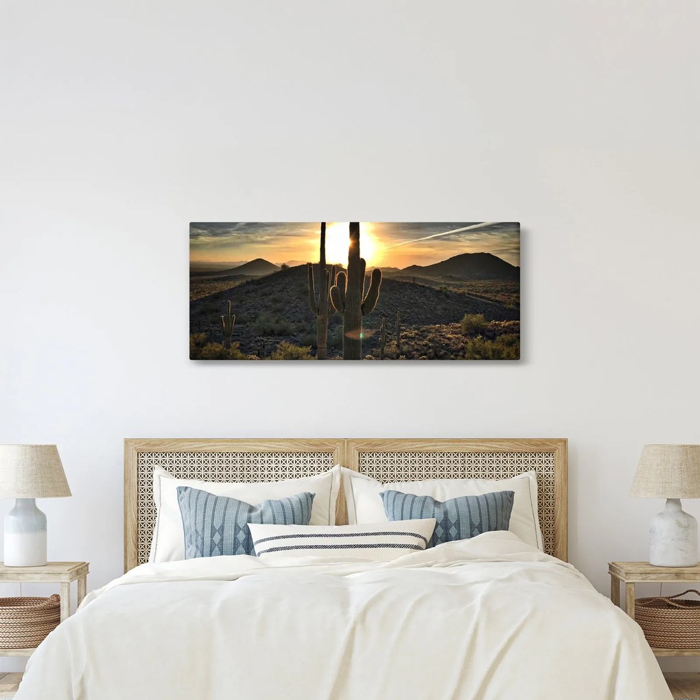 Kép - kaktuszok a napon (120x50 cm)