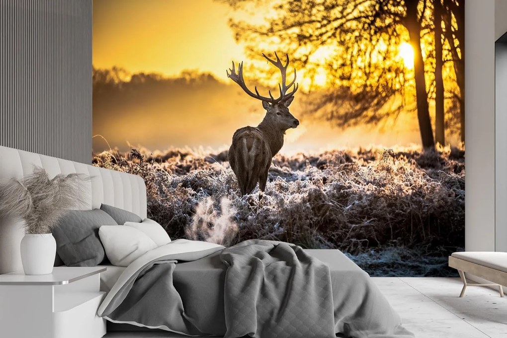 Gario Fotótapéta Szarvas a ködben Anyag: Vlies, Méret: 100 x 70 cm